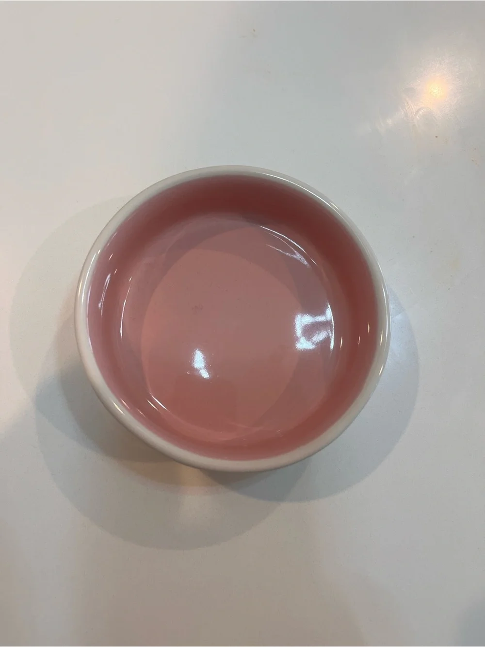 “Catitude” Rae Dunn White Ceramic Pet Bowl
